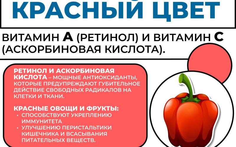 Неделя популяризации овощей и фруктов 